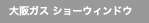 ���K�X�V���[�E�B���h�E