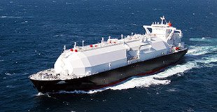Stable LNG Procurement