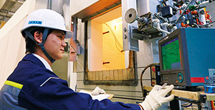 Energy Solutions Capabilities, Proposals and Customization