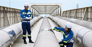 Distribution Network Care and Maintenance