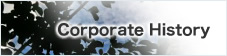 Corporate History