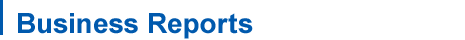 Business Reports