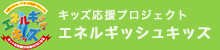 �L�b�Y�����v���W�F�N�g�G�l���M�b�V���L�b�Y