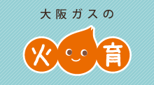 ���K�X�̉Έ�