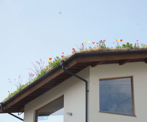 あたご山の草屋根（西宮市）