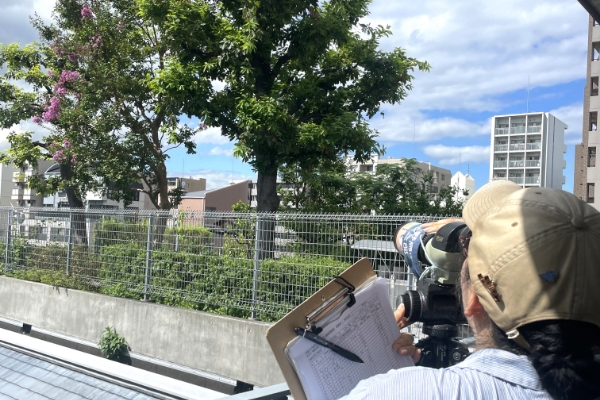 野鳥の会イベント