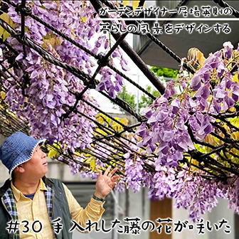 WZŏZ̕ƃtW̎