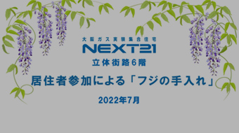 KX WZNEXT21 ̊XH6K ZҎQɂutW̎v