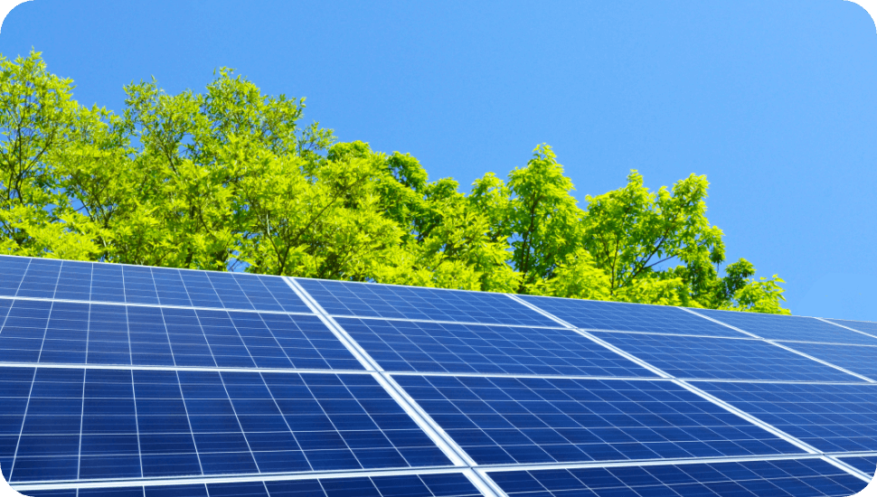 エネルギー実験