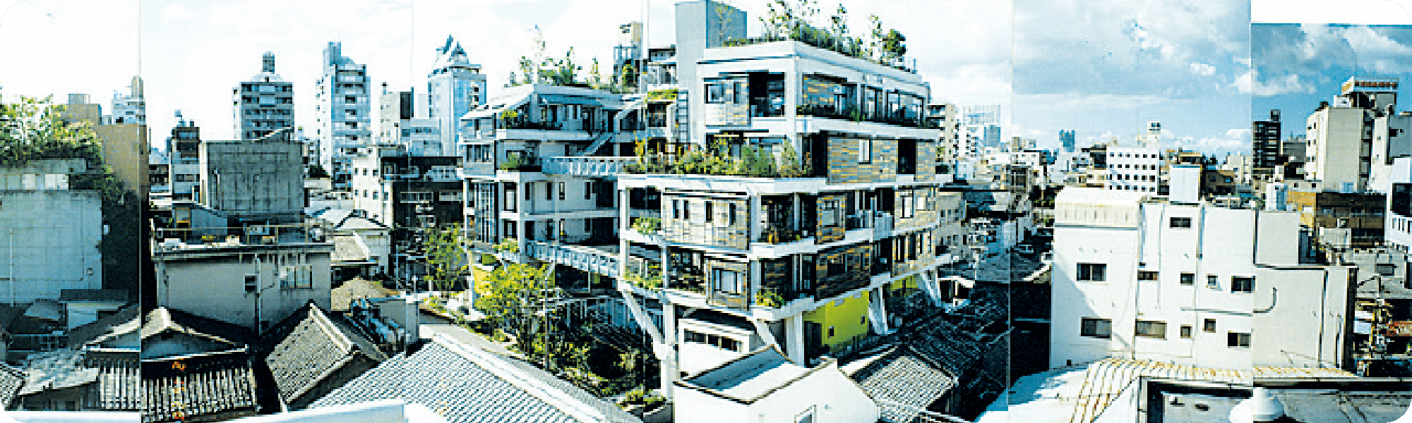 可視光線による写真