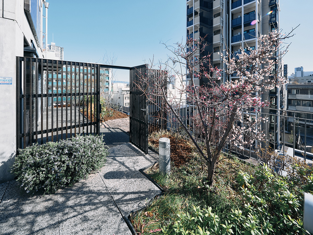 504住戸の内観