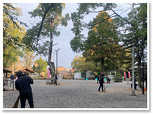 ���|�����̗l�q3