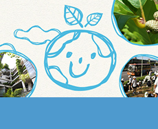 ���ւ̎��g��