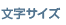 文字サイズ