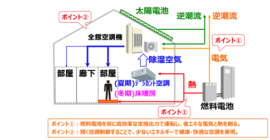 実証システムとポイント