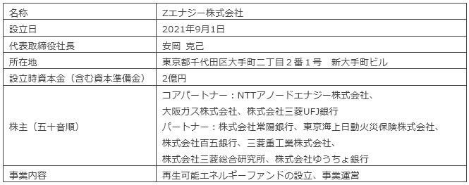 新会社の概要