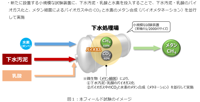 本フィールド試験のイメージ