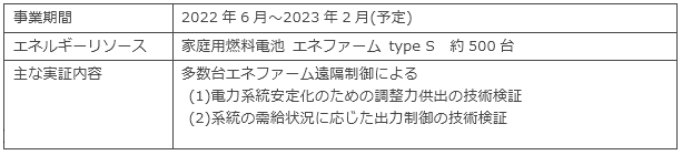実証概要