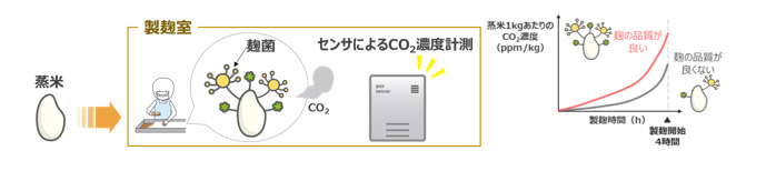 ガスセンシング技術を活用した製麹工程の新評価手法