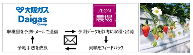 実証実験のイメージ