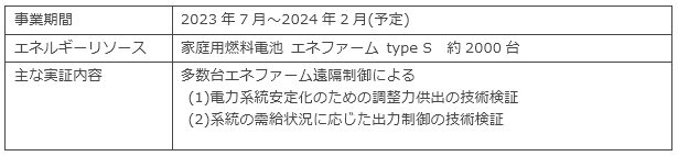 実証概要