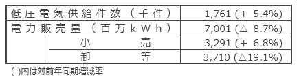 国内電力販売実績