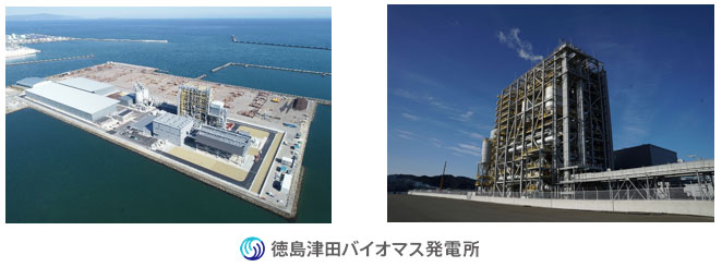 徳島津田バイオマス発電所