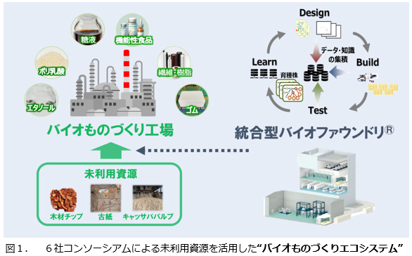 バイオものづくりエコシステム