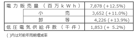国内電力販売実績