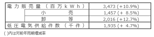 国内電力販売実績