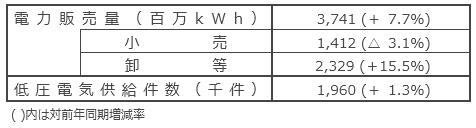 国内電力販売実績 国内電力販売実績