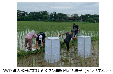 AWD導入水田におけるメタン濃度測定の様子（インドネシア）
