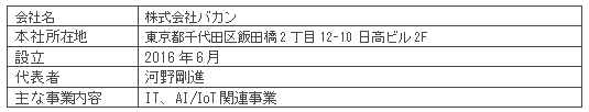 バカン概要