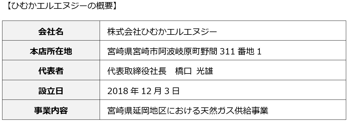 ひむかエルエヌジーの概要
