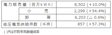 国内電力販売実績