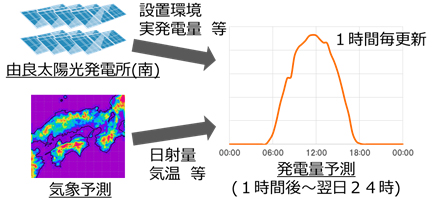 実証概要