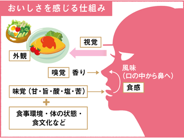 おいしさ・健康調理のメカニズムに迫る「おいしさLabo」ってどんな場所