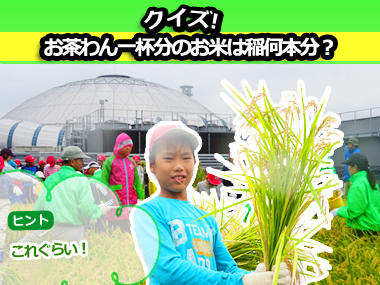 nO~[WAŁȕHv@w̌