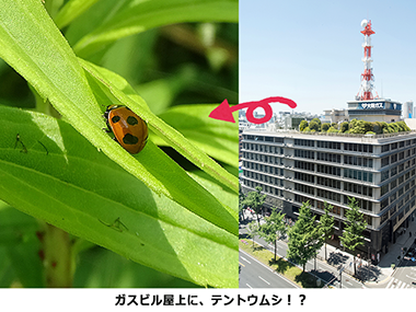 摜2