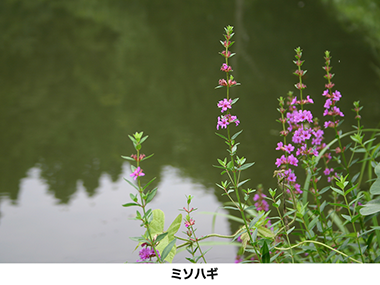 摜6