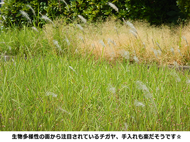 摜8