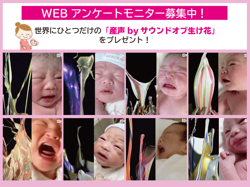 _}^jeBV}}̃AP[gj^[WI^EɂЂƂ̎YA[gv[g