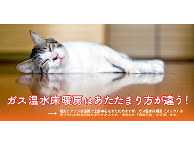 寒い冬は、床からもあたたまりたい!ガス温水床暖房クイズ