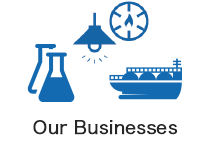 Our Businesses