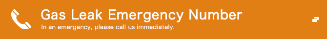 Gas Leak Emergency Number