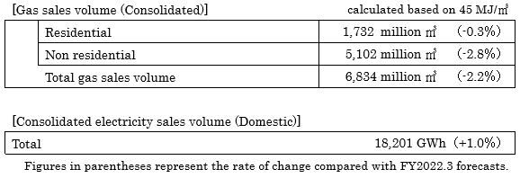 Gas Sales Volume and Electricity Sales Volume Plan
