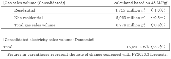 Gas Sales Volume and Electricity Sales Volume Plan