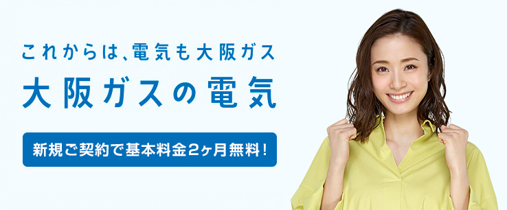 ���ꂩ��́A�d�C�����K�X ���K�X�̓d�C �V�K���_��őf�G�ȃv���[���g��������I