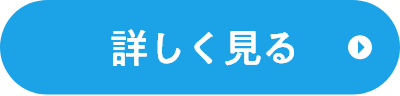 詳しく見る