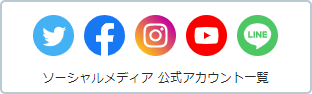 \[VfBAAJEgꗗ